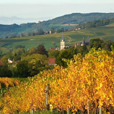 Lavigny Gite Le Douglas, Vignoble Et Reculees Du Jura - Avec Sauna מראה חיצוני תמונה