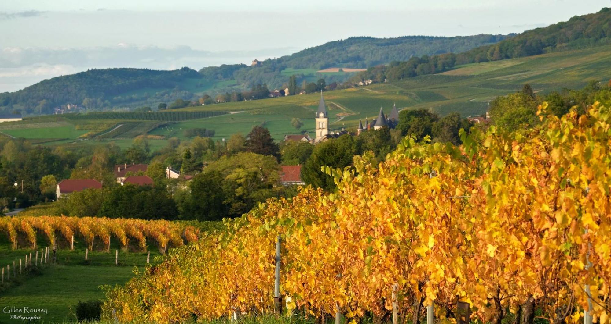 Lavigny Gite Le Douglas, Vignoble Et Reculees Du Jura - Avec Sauna מראה חיצוני תמונה